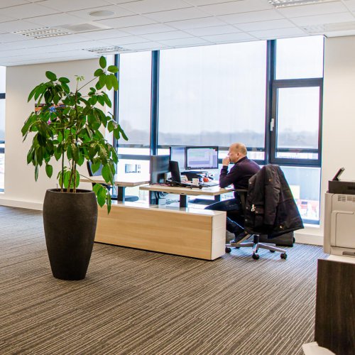 (NEW) International Accountmanager